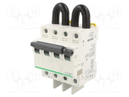 Switch-disconnector; Poles: 2; DIN; 50A; Acti 9; photovoltaics