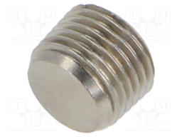 Accessories: screw plug; R 1/8" external; nickel plated brass