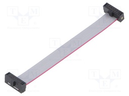 Ribbon cable with IDC connectors; Tape ph: 0.64mm; 76.2mm