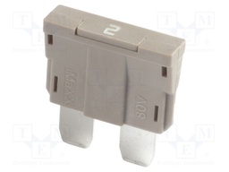 Fuse: fuse; 2A; 80VDC; automotive; 19mm; 19x5.1x20mm