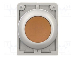 Switch: push-button; Stabl.pos: 2; 30mm; orange; M22-FLED,M22-LED