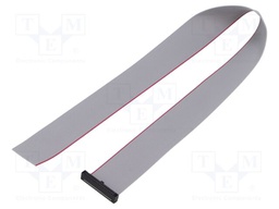 Ribbon cable with IDC connectors; Tape ph: 0.64mm; 381mm