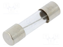 Fuse: fuse; 300mA; 250VAC; glass; 20x5.2mm; brass; bulk