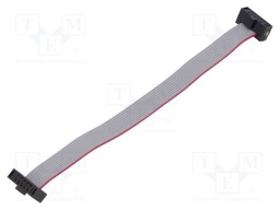 Ribbon cable with IDC connectors; Tape ph: 0.64mm; 88.9mm