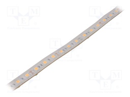 LED tape; white warm; 5050; 12V; LED/m: 60; 10mm; white PCB; IP65