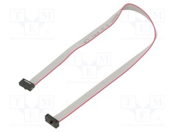 Ribbon cable with IDC connectors; Tape ph: 0.64mm; 270.51mm