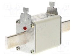 Fuse: fuse; gG,gL; 125A; 500VAC; 250VDC; ceramic,industrial; NH02