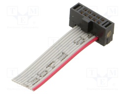 Ribbon cable with IDC connectors; Tape ph: 0.64mm; 25.4mm