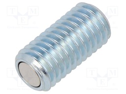 Clamping bolt; Strength cl: 5.8; V: with magnet; Mat: steel; M10x20
