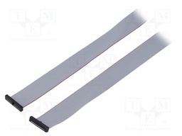 Ribbon cable with IDC connectors; Tape ph: 0.64mm; 2514.6mm