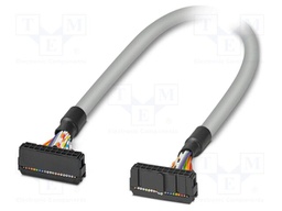 Ribbon cable with IDC connectors; Contacts ph: 2.54mm; 10m