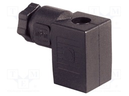 Plug for coil