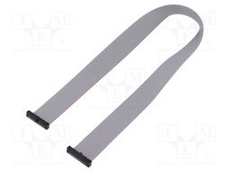 Ribbon cable with IDC connectors; Tape ph: 0.64mm; 406.4mm