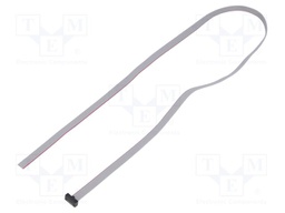 Ribbon cable with IDC connectors; Tape ph: 0.64mm; 609.6mm