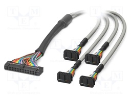 Ribbon cable with IDC connectors; Contacts ph: 2.54mm; 1m; 26AWG
