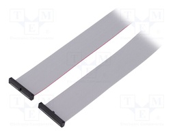Ribbon cable with IDC connectors; Tape ph: 0.64mm; 508mm