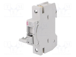 Fuse disconnector; D01; Mounting: for DIN rail mounting; 10A