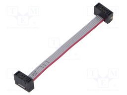 Ribbon cable with IDC connectors; Tape ph: 0.64mm; 50.8mm