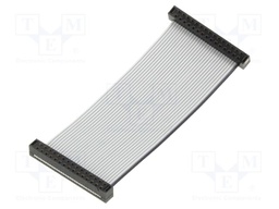 Ribbon cable with IDC connectors; IDC,both sides; Tape ph: 1mm