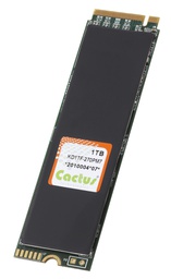 Industrial 3D NAND M.2-270P I-Temp (-40C to +85C) with heat sink 2280FF (22mm x 80mm) +6.5mm thickness