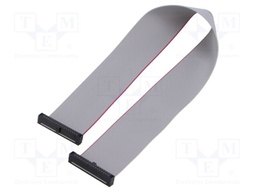 Ribbon cable with IDC connectors; Tape ph: 0.64mm; 254mm