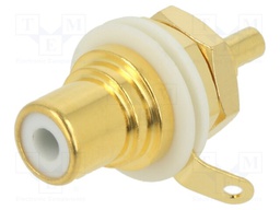 LETTERING PLATE VIOLET