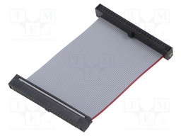 Ribbon cable with IDC connectors; Tape ph: 0.64mm; 50.8mm