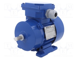 Motor: AC; 3-phase; 0.06kW; 230/400VAC; 1400rpm; 2.6kg; IP54