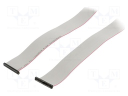 Ribbon cable with IDC connectors; Tape ph: 0.64mm; 1219.2mm