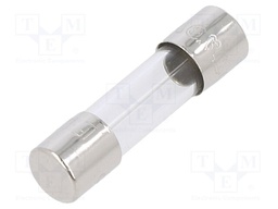 Fuse: fuse; time-lag; 2A; 250VAC; cylindrical,glass; 5x20mm; brass