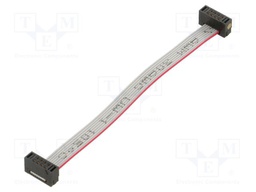 Ribbon cable with IDC connectors; Tape ph: 0.64mm; 76.2mm