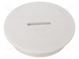 Stopper; PG29; IP56; Mat: polyamide; Body: light grey; Thread: PG