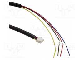 Relays accessories: socket