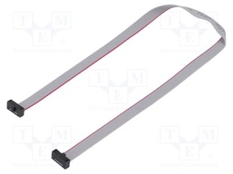 Ribbon cable with IDC connectors; Tape ph: 0.64mm; 299.97mm