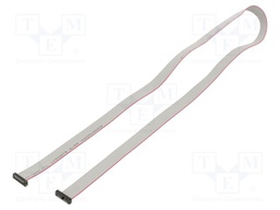 Ribbon cable with IDC connectors; Tape ph: 0.64mm; 762mm