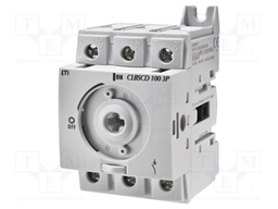 Switch-disconnector; Poles: 3; for DIN rail mounting; 100A; IP20
