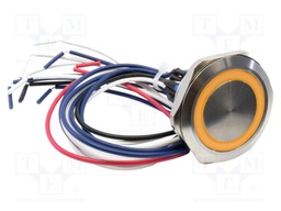 Switch: vandal resistant; DPST-NO + DPST-NC; 2A/48VDC; IP65; 6V