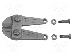 Jaws; UNIOR-610966; 596/6A