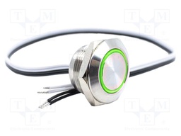 Switch: vandal resistant; Pos: 2; SPST-NO; 0.05A/24VDC; OFF-(ON)