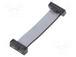 Ribbon cable with IDC connectors; IDC,both sides; Tape ph: 1mm