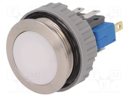 Switch: vandal resistant; Pos: 2; SPDT; 0.1A/30VDC; IP67; ON-(ON)