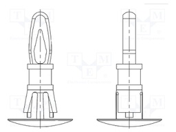 Assembly stud; polyamide 66; L: 4.8mm; latch/latch; UL94V-2