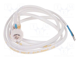 Probe light; 1m