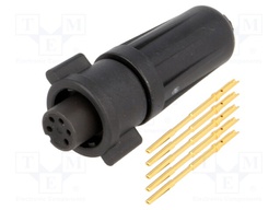 Connector: circular; Series: EN2; plug; female; soldering; PIN: 5; 3A