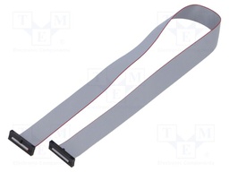 Ribbon cable with IDC connectors; Tape ph: 0.64mm; 508mm