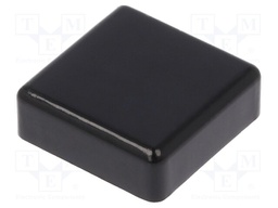 Cap; none; Man.series: TS 2x; Body: black