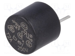 Fuse: fuse; time-lag; 2A; 250VAC; Pitch: 5.08mm; MRT