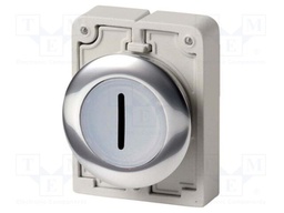 Switch: push-button; Stabl.pos: 2; 30mm; white; M22-FLED,M22-LED