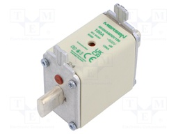Fuse: fuse; aM; 100A; 500VAC; ceramic,industrial; NH00