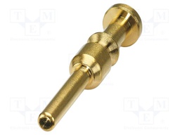 Contact; male; CuZn; gold-plated; crimped